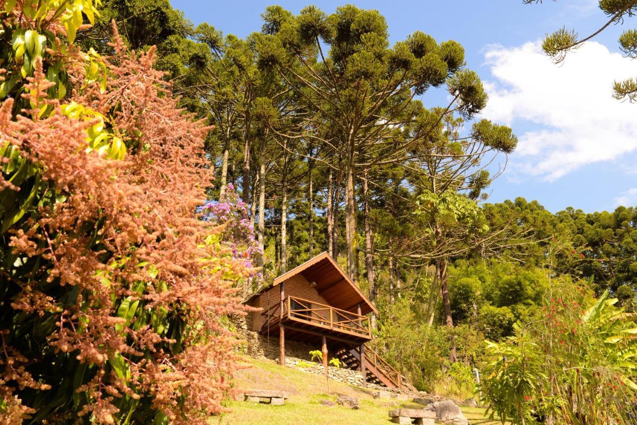 Chalés Araucária e Manacá São Bento do Sapucaí Exterior foto