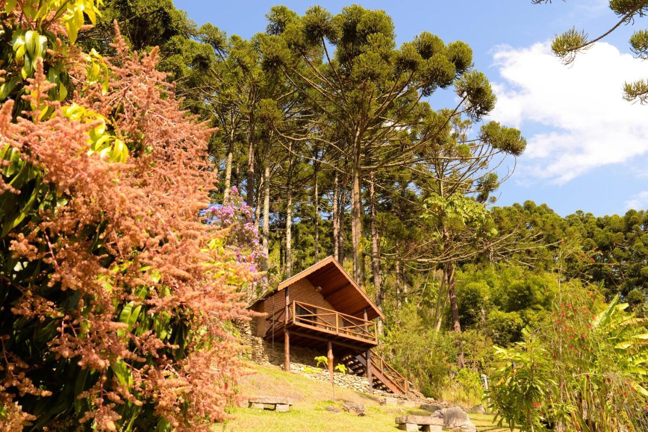 Chalés Araucária e Manacá Villa São Bento do Sapucaí Exterior foto