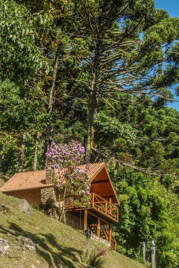 Chalés Araucária e Manacá Villa São Bento do Sapucaí Exterior foto